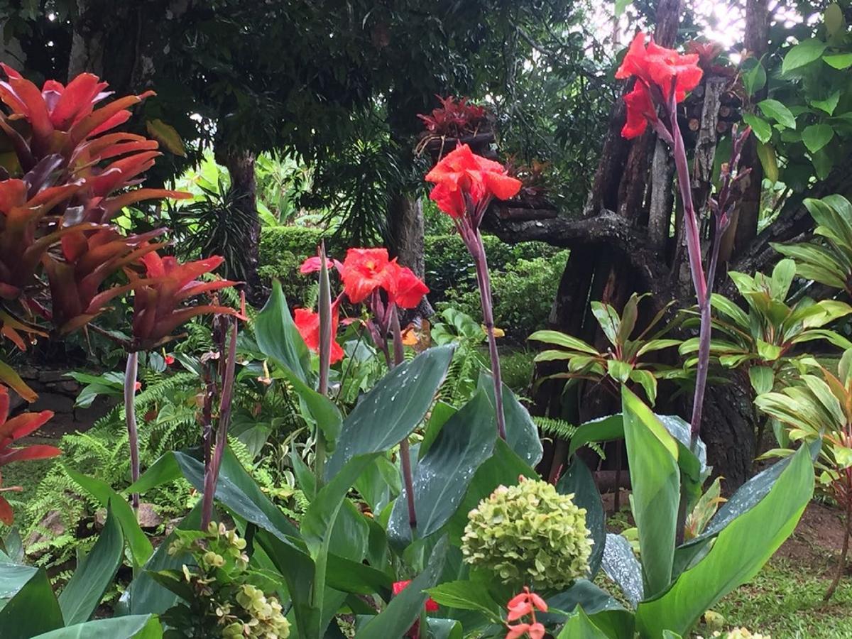 Sitio Alto da Montanha - você em paz com a natureza Vila Pacoti Exterior foto